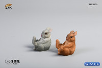 1/6 Scale Dwarf Rabbit Set A