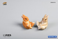 1/6 Scale Dwarf Rabbit Set B