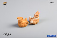 1/6 Scale Dwarf Rabbit Set C