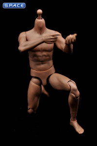 1/6 Scale Male Narrow Shoulders Muscle Body