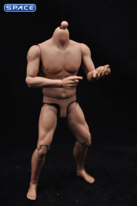 1/6 Scale Male Strong Muscle Body