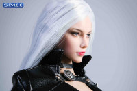 1/6 Scale silver-haired Killer Character Set