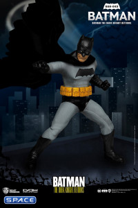 Batman Dynamic 8ction Heroes (Batman: The Dark Knight Returns)