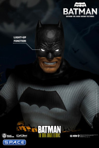 Batman Dynamic 8ction Heroes (Batman: The Dark Knight Returns)