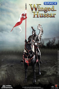 1/6 Scale Hucul Horse