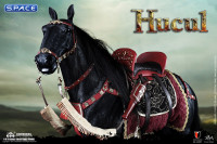 1/6 Scale Hucul Horse