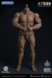 1/6 Scale Durable Male Body AT030