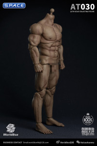 1/6 Scale Durable Male Body AT030