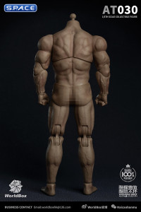 1/6 Scale Durable Male Body AT030