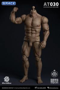 1/6 Scale Durable Male Body AT030