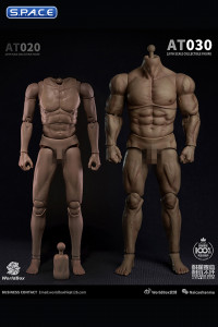 1/6 Scale Durable Male Body AT030