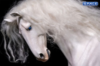 1/6 Scale The white Horse