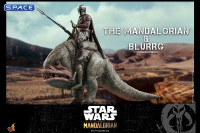 1/6 Scale Mandalorian & Blurrg TV Masterpiece TMS046 (The Mandalorian)
