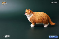 1/6 Scale Fat Cat (red)