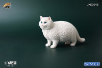 1/6 Scale Fat Cat (white)