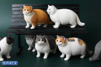 1/6 Scale Fat Cat (white)