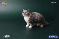 1/6 Scale Fat Cat (dark grey)