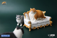 1/6 Scale Fat Cat (dark grey)