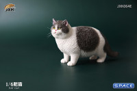 1/6 Scale Fat Cat (grey/white)