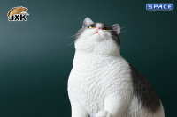 1/6 Scale Fat Cat (grey/white)