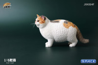 1/6 Scale Fat Cat (tricolor)