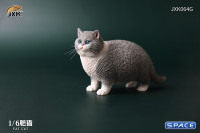 1/6 Scale Fat Cat (light grey)