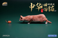 1/6 Scale hunting Cat (red)