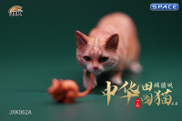 1/6 Scale hunting Cat (red)