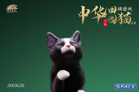 1/6 Scale hunting Cat (black)