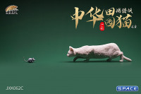 1/6 Scale hunting Cat (white)