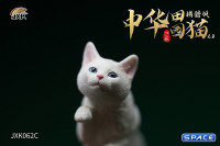 1/6 Scale hunting Cat (white)