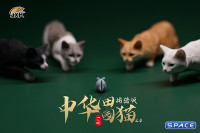 1/6 Scale hunting Cat (white)