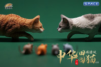 1/6 Scale hunting Cat (brown)