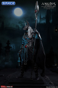 1/6 Scale Silver Anubis - Guardian of The Underworld