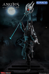 1/6 Scale Silver Anubis - Guardian of The Underworld