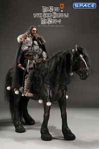 1/6 Scale Shire Horse 2.0 (black / black fetlocks)