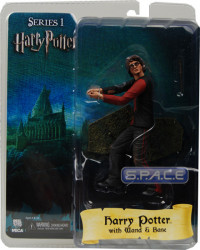 Harry Potter (Harry Potter Series 1)