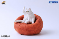 1/6 Scale lazy Cat (white)