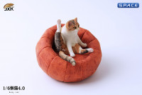 1/6 Scale lazy Cat (tricolor)