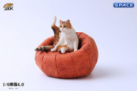 1/6 Scale lazy Cat (tricolor)