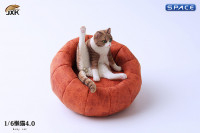 1/6 Scale lazy Cat (brown/white)