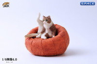 1/6 Scale lazy Cat (brown/white)