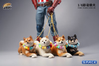 1/6 Scale lying Shiba Inu (red)