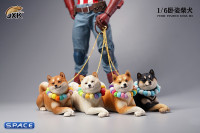 1/6 Scale lying Shiba Inu (white)