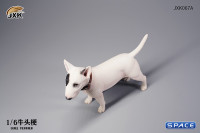 1/6 Scale Bull Terrier (black/white)
