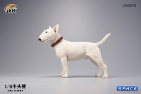 1/6 Scale Bull Terrier (white)