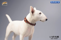 1/6 Scale Bull Terrier (white)