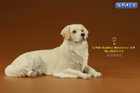 1/6 Scale lying Golden Retriever Version 1A