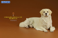 1/6 Scale lying Golden Retriever Version 1A