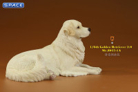 1/6 Scale lying Golden Retriever Version 1A